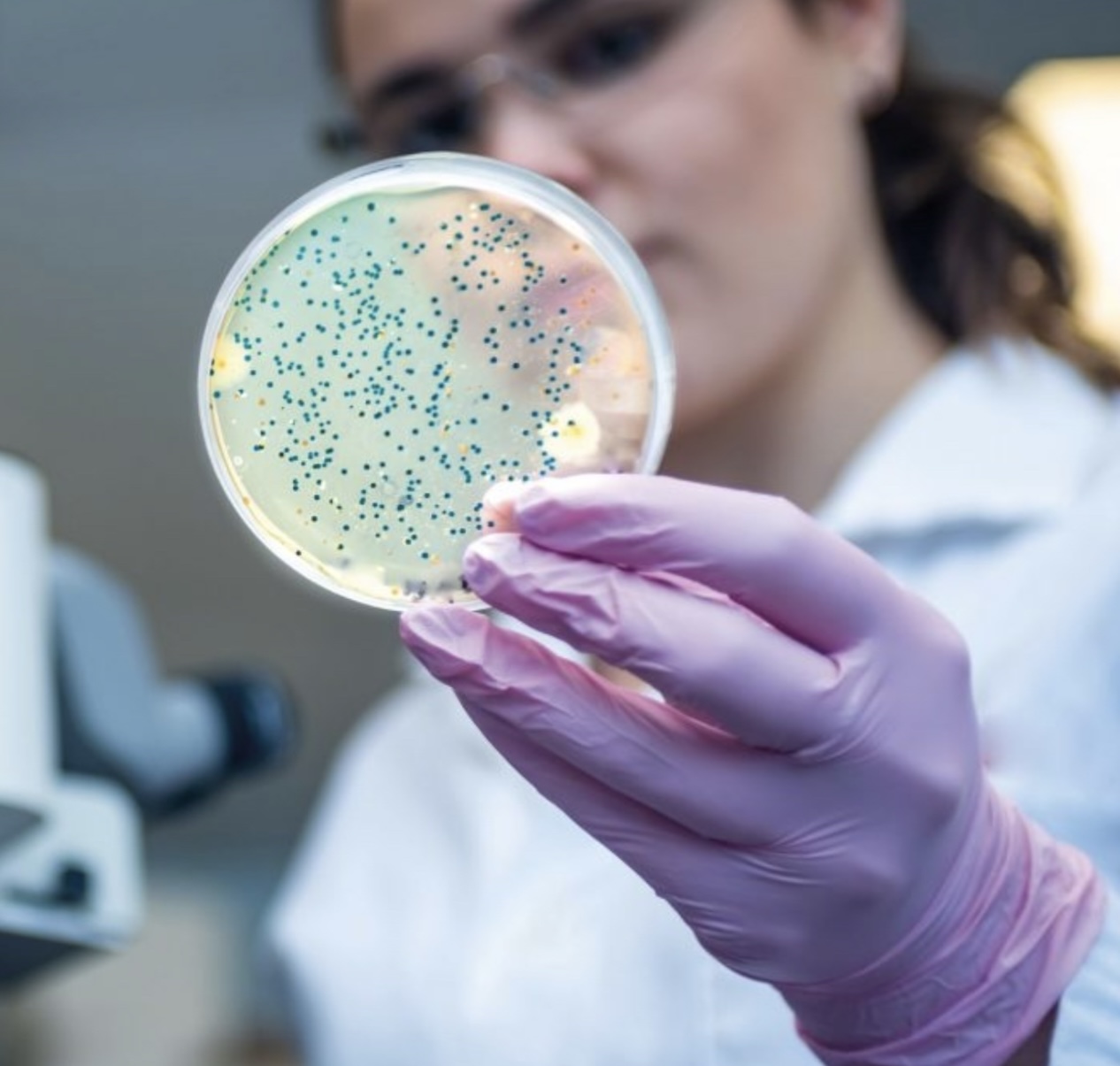 Artificial intelligence develops medications for gonorrhoea and MRSA superbugs.