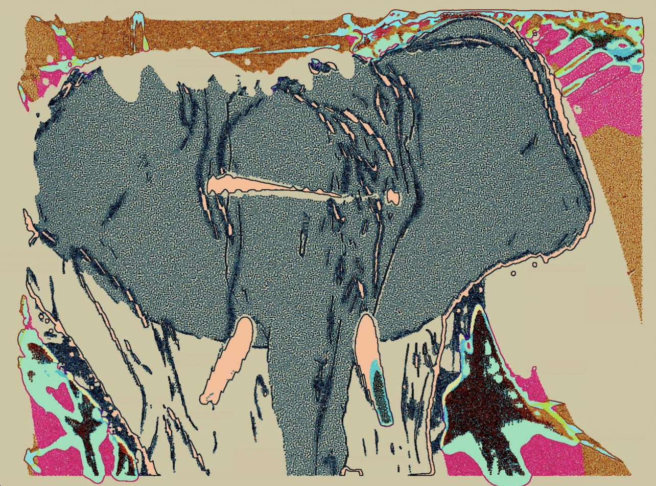 Lost in the Haze: How Train Conductor’s Elephant Graveyard Closes Feeling Town on a Psychedelic High