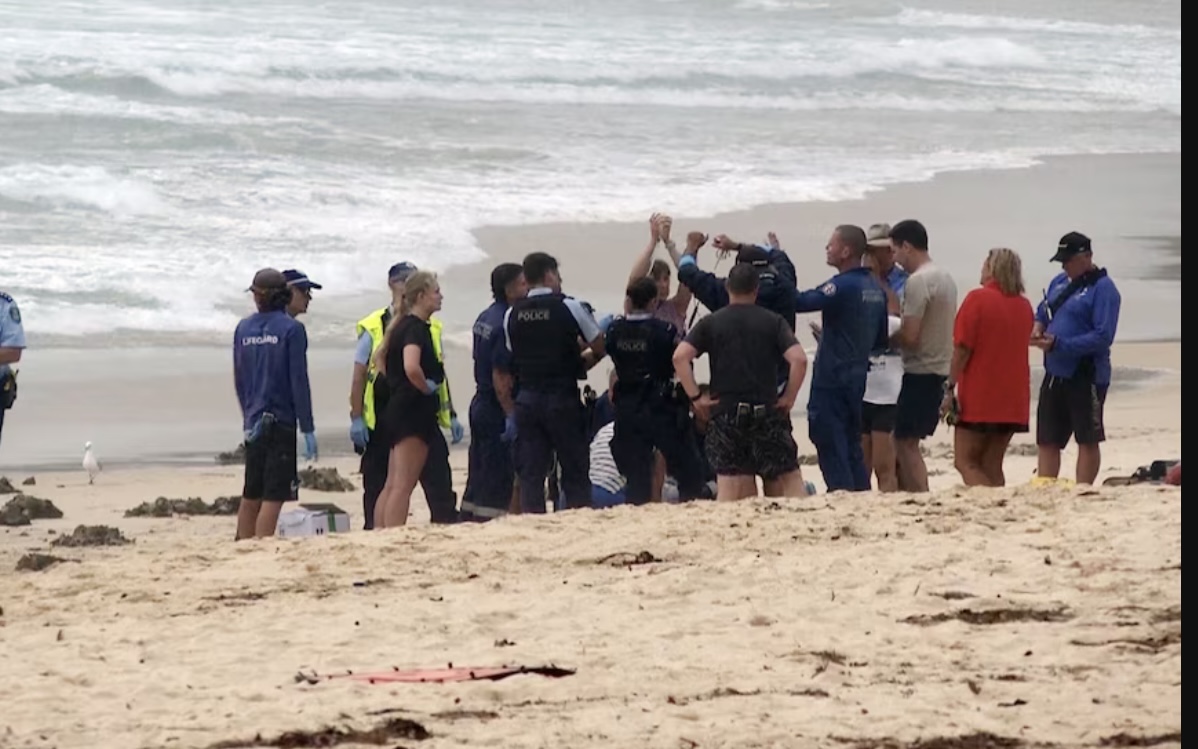 Man Seriously Injured in Sydney’s Third Shark Attack in Two Days