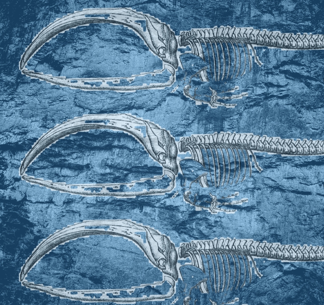 A Quiet Storm of Thought: Whale Hill by Mike Marlin